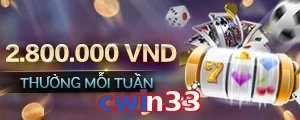 cwin33