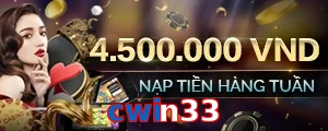 cwin33