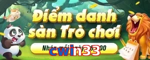 cwin33