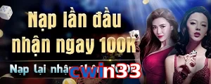 cwin33