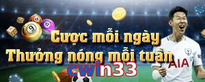 cwin33